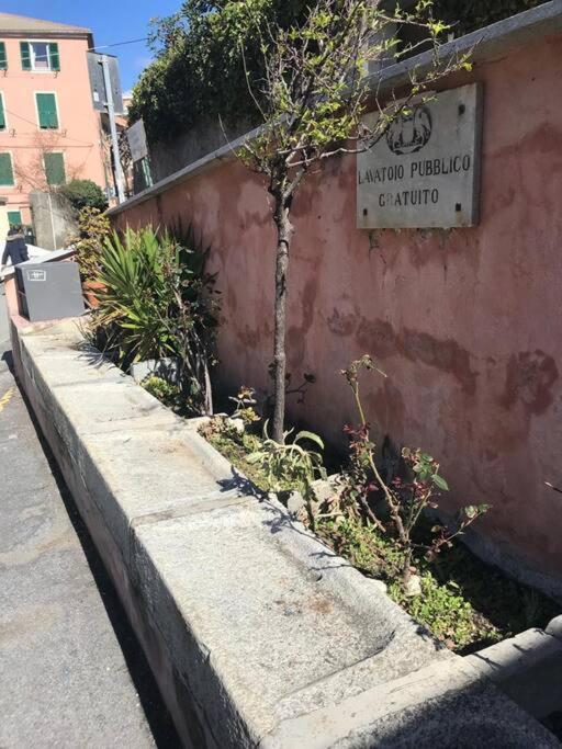 Pisi Home, 2 Min Dalla Spiaggia E Dall' Ospedale Gaslini Genova Eksteriør bilde